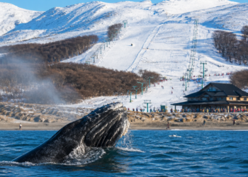 Chubut Lanzó su Temporada de Invierno con Nieve, Ballenas y Promociones para Visitantes