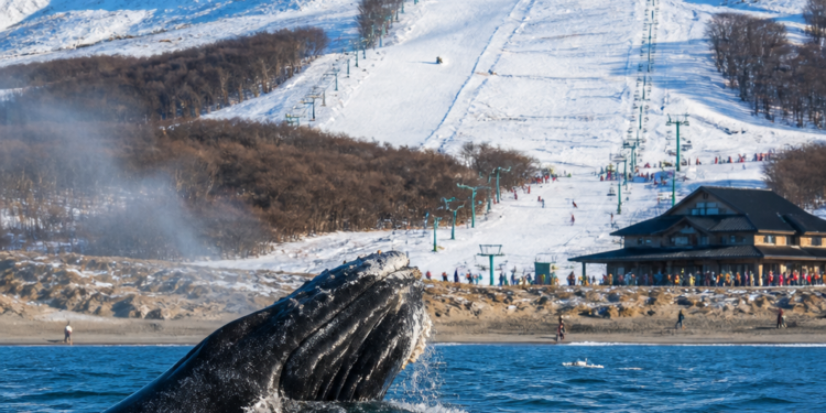 Chubut Lanzó su Temporada de Invierno con Nieve, Ballenas y Promociones para Visitantes