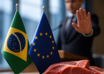 La Unión Europea oficializó la exclusión de Brasil como exportador de carne vacuna