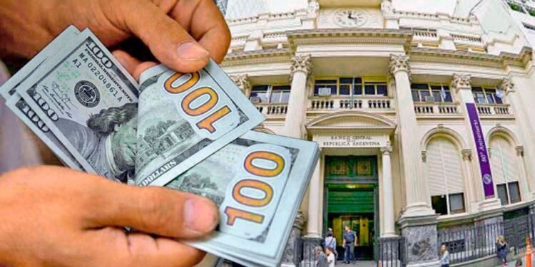Dólares o rendimiento: cuándo dejar de priorizar la cobertura cambiaria