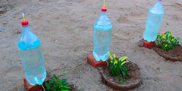 Cómo transformar una botella de plástico en un eficiente sistema de riego por goteo