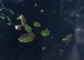 Islas Galápagos buscan voluntarios para proyectos de conservación: alojamiento y actividades de cuatro horas diarias