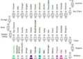 Resultados de PISA: Argentina marca su historia en educación con números alarmantes