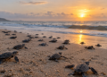 La fundación ecológica de Maná ha liberado más de 8 millones de tortugas marinas y plantado 800.000 árboles desde su creación en 1996