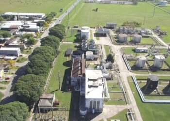 El Senado debate una reforma de biocombustibles que enfrenta a grandes empresas y pymes