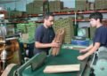 El Senado comienza a analizar un régimen de incentivos para inversiones productivas de empresas medianas