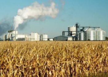 Biocombustibles: las pymes advierten por el impacto del nuevo régimen que avanza en el Senado