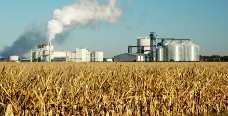 Biocombustibles: las pymes advierten por el impacto del nuevo régimen que avanza en el Senado