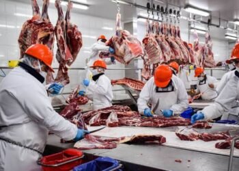 Japón vuelve a abrir su mercado a la carne argentina tras 20 años y se amplían las oportunidades de exportación