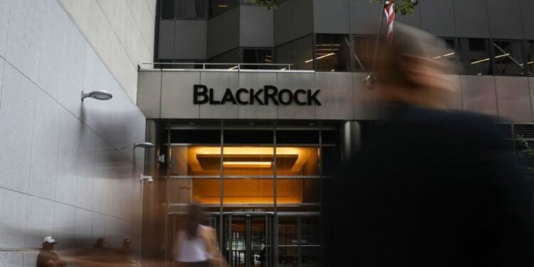 BlackRock y la necesidad de cambio en Argentina para captar inversiones
